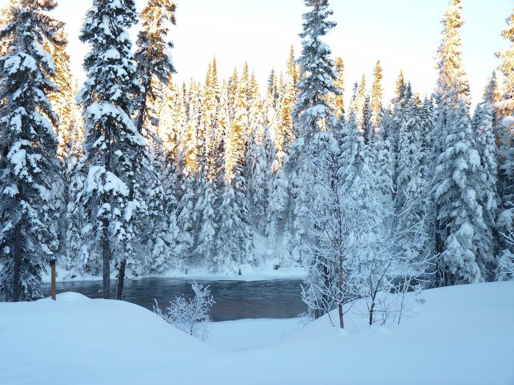 チブーガモー Gite De La Riviere Bed & Breakfast エクステリア 写真