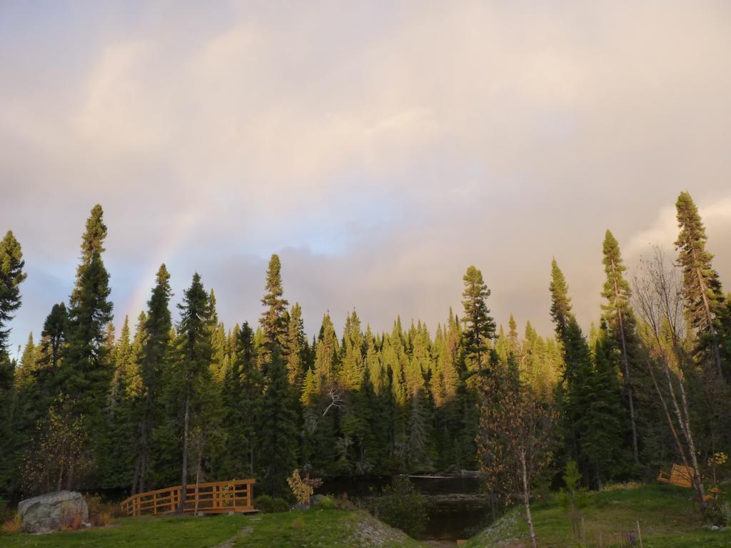 チブーガモー Gite De La Riviere Bed & Breakfast エクステリア 写真