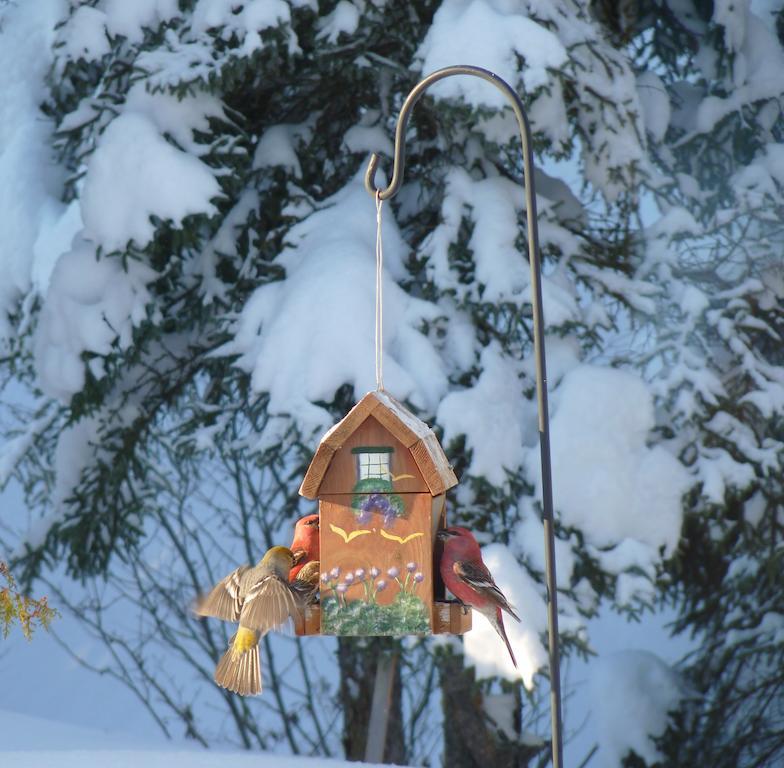 チブーガモー Gite De La Riviere Bed & Breakfast エクステリア 写真